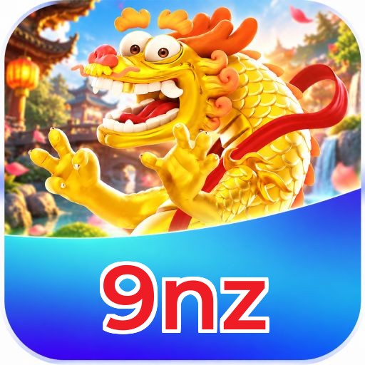 9nz VIP Program